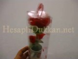 www hesaplidukkan net sevgililer gunu hediyesi cicek kupa opucuklu kalp