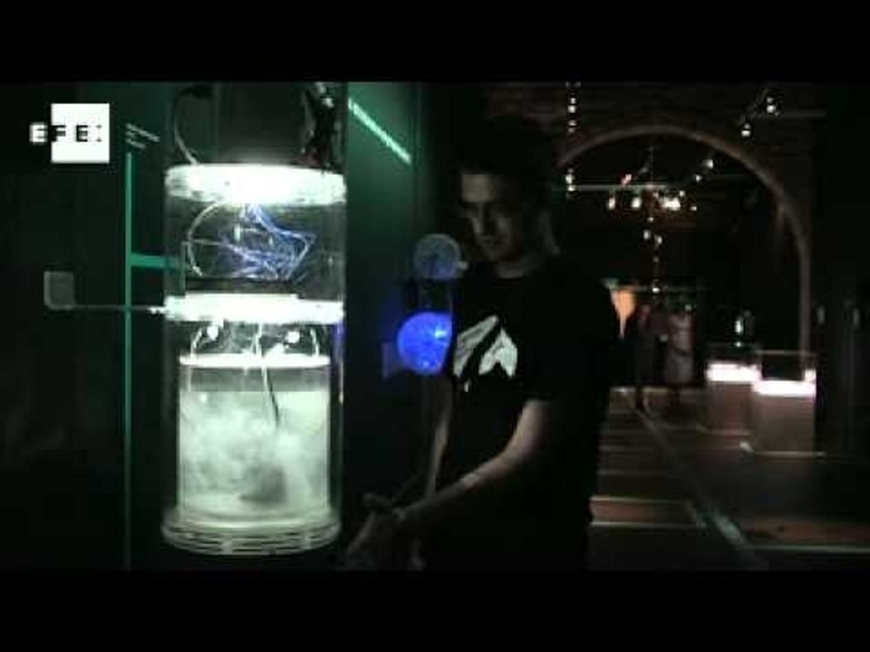 The sense and sensitivity of machines