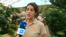 Más de cien especies de varios continentes en el mayor mariposario de España
