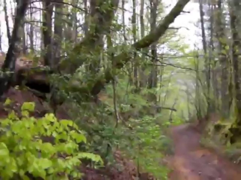Deuxième pélerinage : du Puy en Velay à Santiago - 6 ème étape : de Saint Chély d'Aubrac à Estaing