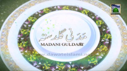 Useful Information 399 - Hajj Ijtema 3rd Day & Rami Jamarat - Ameer e Ahle Sunnat