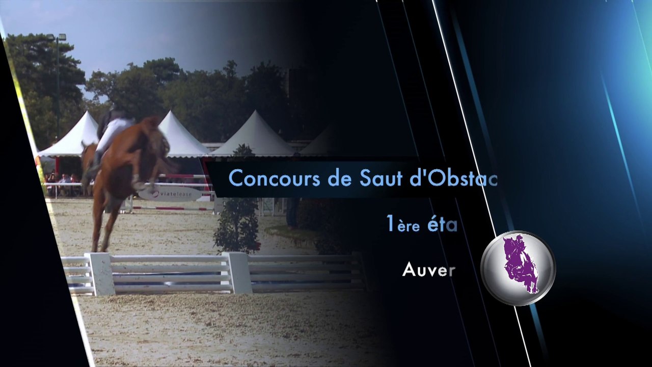 CSO - Auvers 2013