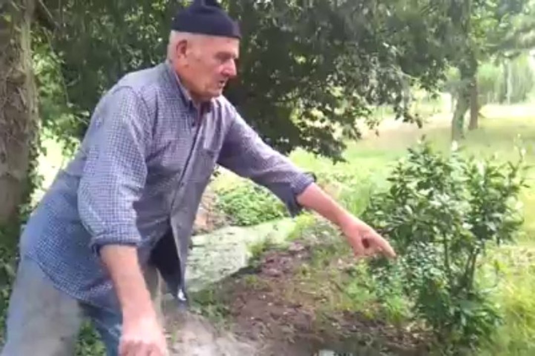 Roscoff (29). Ils tentent de voler un bébé poney qui finit noyé