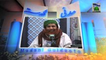 Islamic Information 556 - Qurbani kay Janwar Zibha kernay se Qabal Ahtiyatain