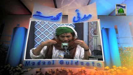 Islamic Information 556 - Qurbani kay Janwar Zibha kernay se Qabal Ahtiyatain
