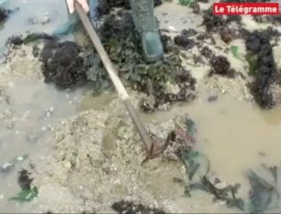 Concarneau (29). A l'heure de la grande marée...