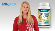 Glucosamine For Dogs – Appropriate Hip And Joint Therapy For Dogs Of Every Age Group