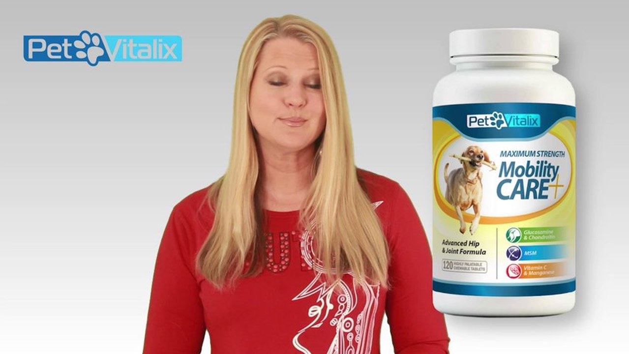 Glucosamine For Dogs – Appropriate Hip And Joint Therapy For Dogs Of Every Age Group