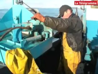 Brest. En cale... seiche !