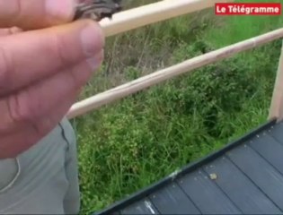 Séné. La réserve naturelle innove