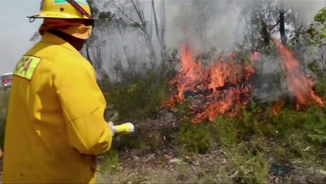 Australie: les pompiers réunissent deux énormes incendies