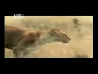 Thợ sửa chữa điện nước ở tại quận 10-LG /0936 890585