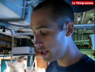 Aquarium de Vannes. Plongée dans les coulisses