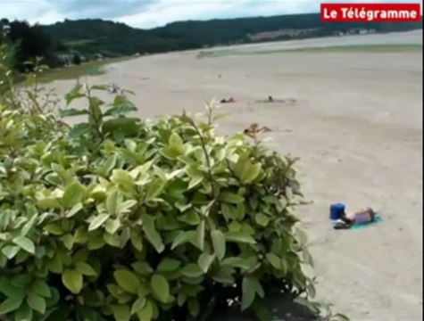 Algues vertes. Un maire interdit l'accès au littoral, l'autre non