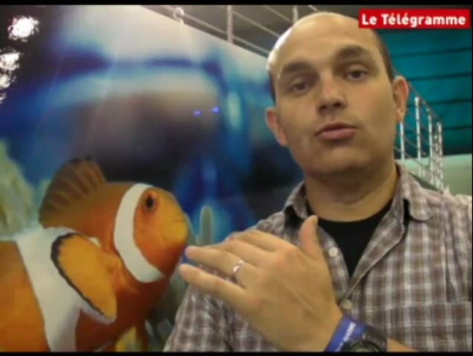 Douarnenez. Galop d'essai pour les Fêtes sous-marines