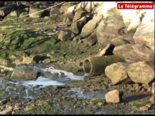Penmarc'h. Des graisses de poisson bien encombrantes