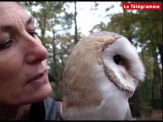 Fauconnière. Un métier volé aux hommes ?