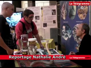 Brest. Le Village des Sciences se veut surtout pédagogique