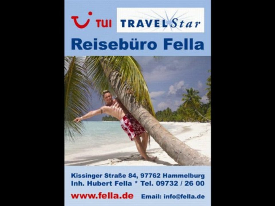 sprechender Papagei Kongo Graupapagei Rudi Hammelburg 20.10.2013