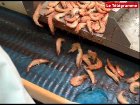 Lorient (56). Mareyage : dans les filets de Capitaine Houat