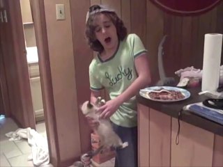 Hungry Kittens Climb Up Girl’s Leg