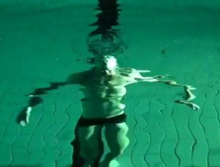 Panoramas 2010. Plongée dans le grand bain