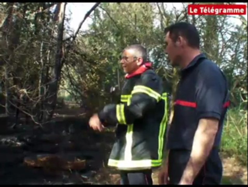 Incendie à Plédran (22). Un hectare de bois part en fumée