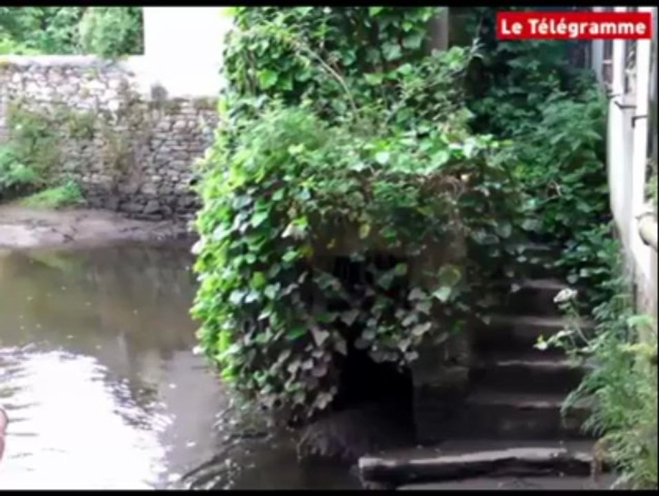 Landerneau (29). Le pont habité : un art de vivre