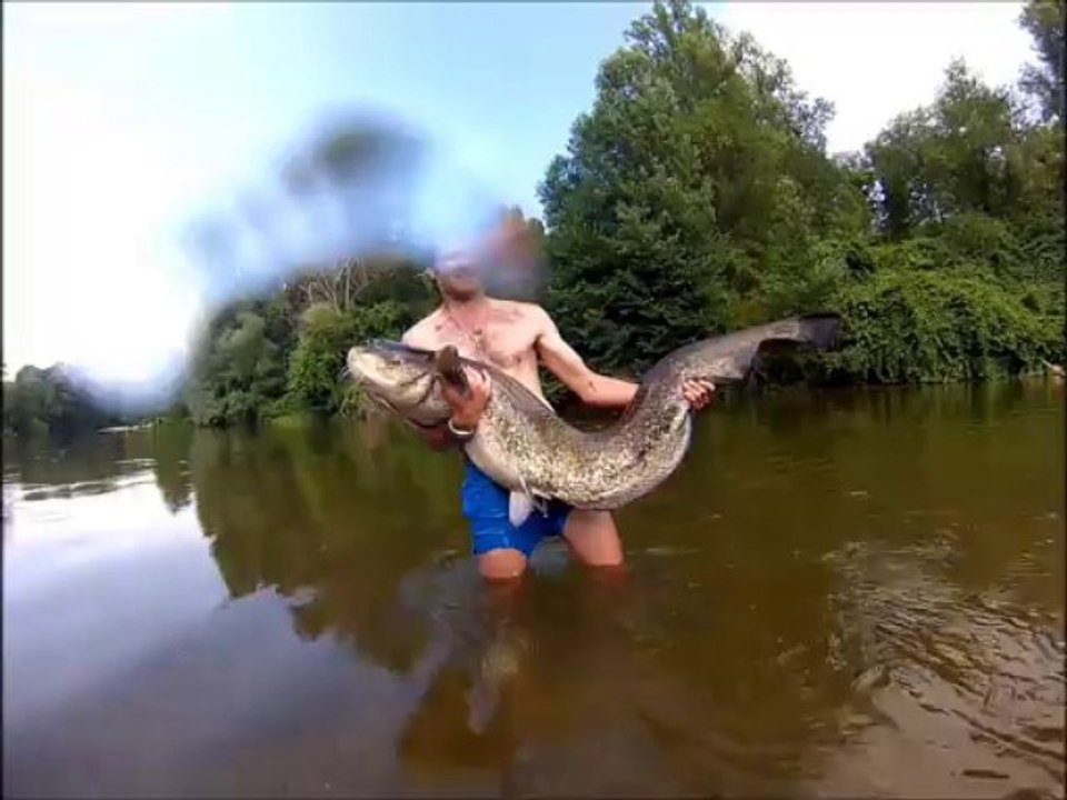 Pêche Silure au leurre à vue rivière Tarn