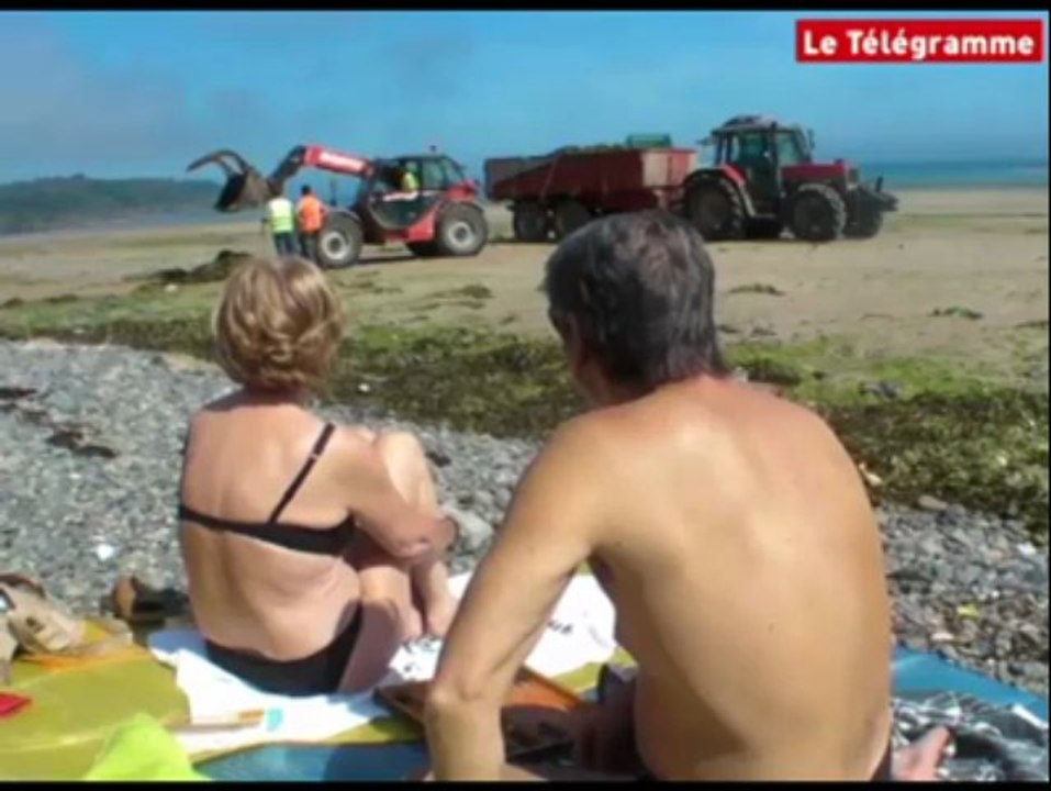 Plérin (22). Les algues vertes débarquent aux Rosaires