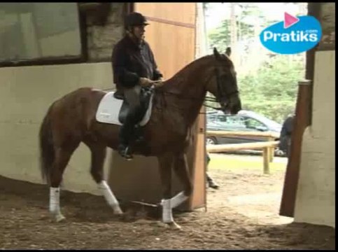 Dressage : le cheval sur la main