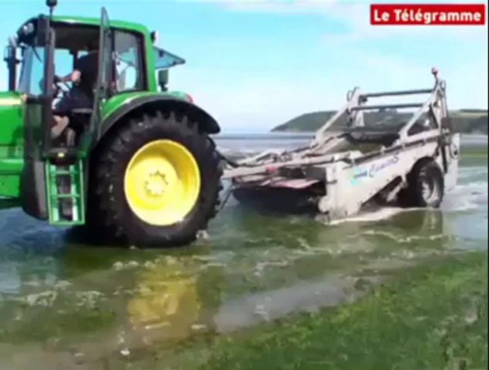 Saint-Michel-en-Grève (22). Algues vertes : le ramassage en mer testé à Saint-Efflam