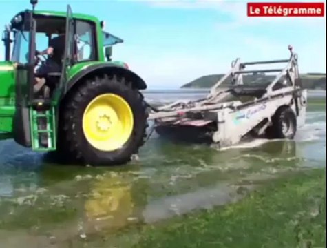 Saint-Michel-en-Grève (22). Algues vertes : le ramassage en mer testé à Saint-Efflam