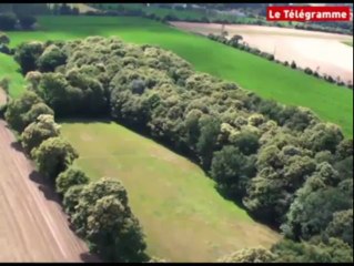 Mellac (29). L'ULM autogyre, un drôle de Colibri