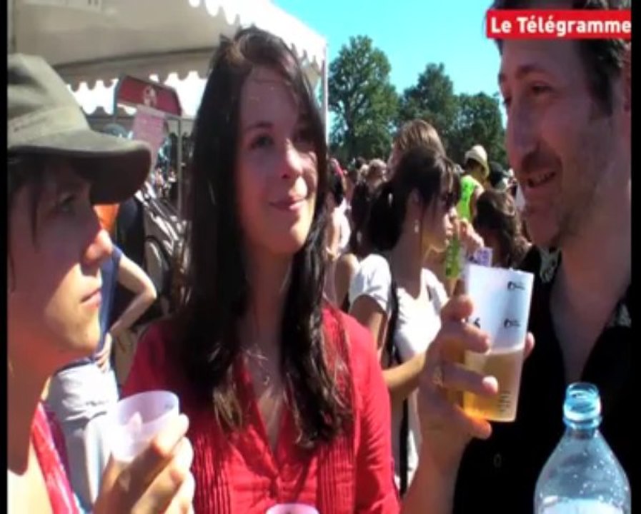 Vieilles Charrues. Dimanche. Débrief au bar 8