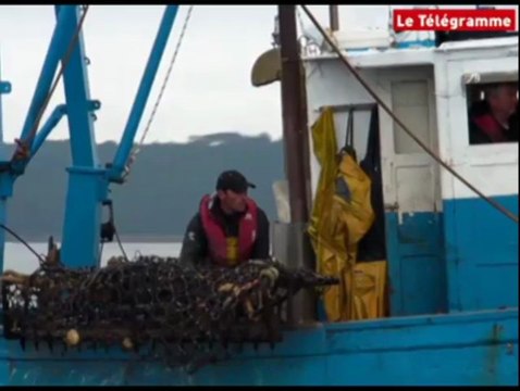 Brest (29). Pêche à la coquille : la campagne est lancée