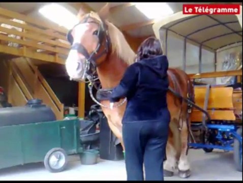 La Chapelle-Gaceline (56). Services techniques : le retour du cheval