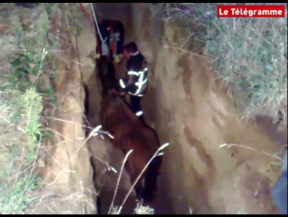 Pont-Aven (29). Opération sauvetage d'une jument dans un trou