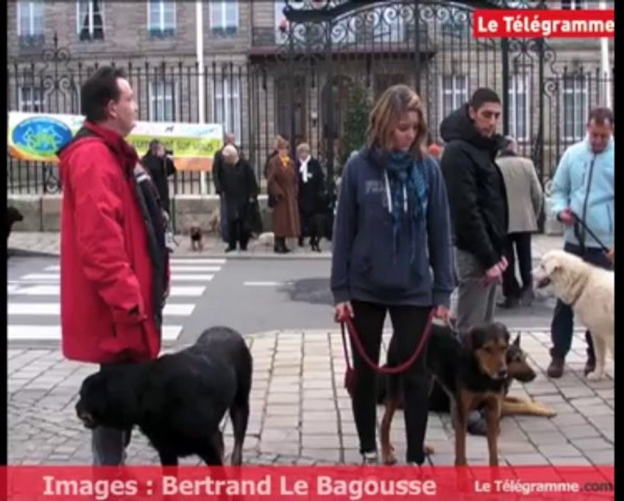 Vannes (56). La SPA manifeste devant la préfecture