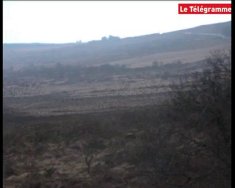 Nature. Vol d'étourneaux sur les Monts-d'Arrée
