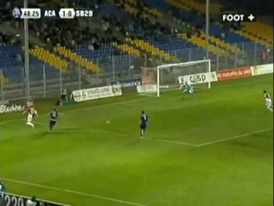 Arles-Avignon - Stade Brestois : 1-1