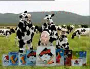 Sửa tủ lạnh tại hoàng mai 0934 467 277