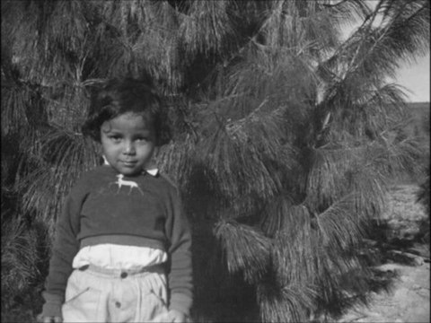 Audrey - Ouranos Quartet