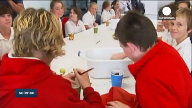 Un banco de plantas congeladas y excursiones virtuales...