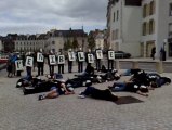 Vannes. Flash mob contre la pénibilité