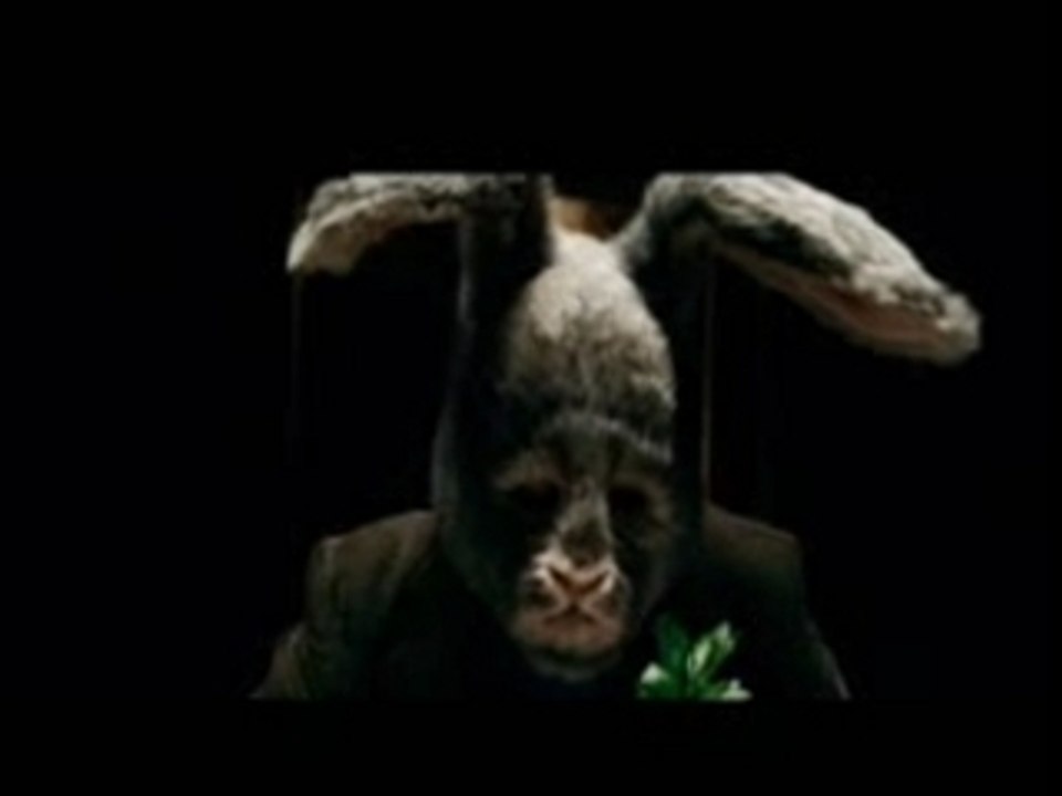 The Cardigans - For What It's Worth