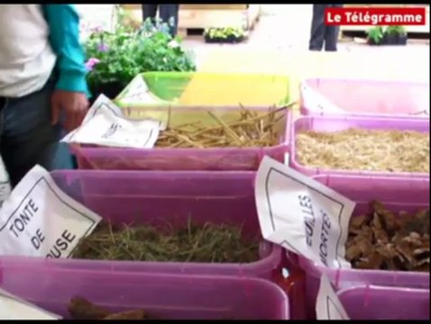 Lamballe. Belle affluence au Haras pour la Journée de la rose