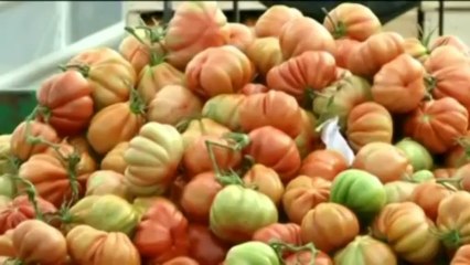 Les agriculteurs de Seine-et-Marne mobilisés contre l'écotaxe