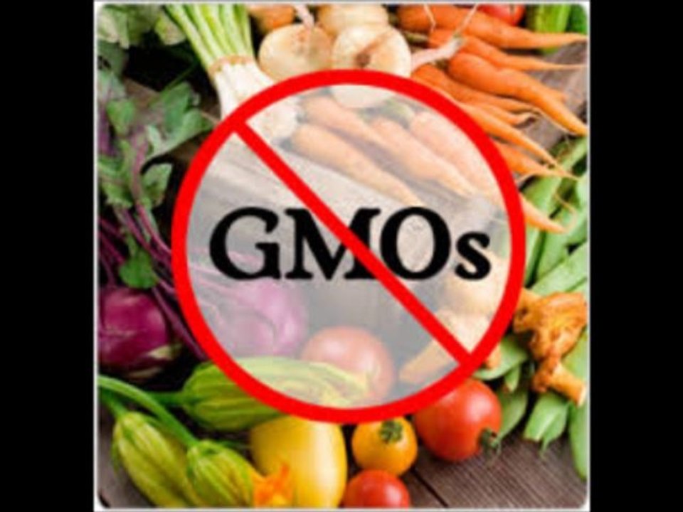 GMO by The Electric Trunk