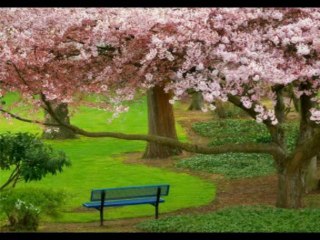 2 CRONICAS  CAP 19   - A BIBLIA NA LINGUAGEM DE HOJE